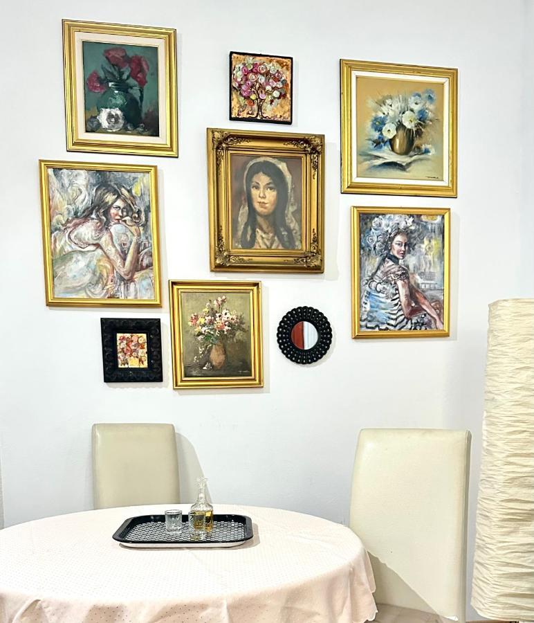 Charming Apartament City Center Timişoara Exterior foto