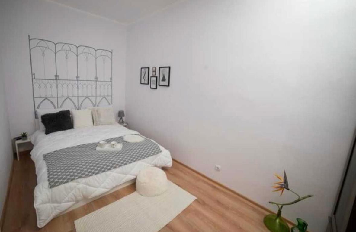 Charming Apartament City Center Timişoara Exterior foto